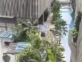新裝修的公寓 - 西海岸SEAHILL - $1,000,000