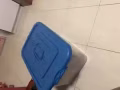甩甩甩
