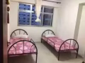 PUNGGOL 新組屋區普通房出租（女搭客)