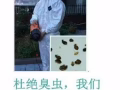 專業團對機器殺臭蟲！蟑螂！白蟻！蚊蠅！螞蟻！壁虎！老鼠殺絕後付款！批發殺蟲藥！