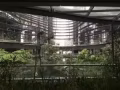 滨海盛景豪苑（Marina One Residences）