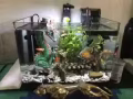 全套鱼缸设备加所有的小鱼，各个品种转让，有意者请联系：88589999