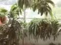 金文泰高层带单独专属卫浴普通房出租——超高性价比超近地铁超近NUS国大