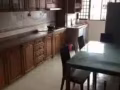 无中介费 淡滨尼 近地铁 主人房出租 随时入住