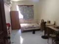 淡滨尼81街  有 普通房出租 即可入住的 无房东  可报地址微信9107955