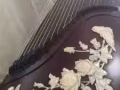 古筝私教 guzheng
