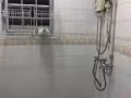 @@@@@@@海軍部普通房出租 人少安靜 可申報住址@@@@@@
