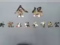 新加坡建筑公司安全员