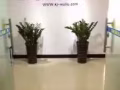 中国到新加坡海运，家具，各类大小商品送货到门380RMB
