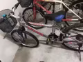 本人有一輛8成新左右的自行車便宜出售，有意者烏蘭自取
