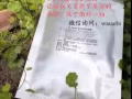 DR SUNG面膜，你我的值得信赖的品牌！