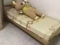 近中央医院，中巴鲁超大普通房招搭房。