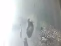 Yishun义顺靠近忠邦城普通房，人少干净，出入自由