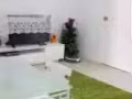 ??靠近巴耶利巴地铁?有小房出租??包冷气和网线??可小煮?