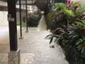 巴耶利岜地鐵站二分鐘高級公寓主人房短期出租，電85152251