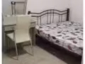 老文理夫妻房出租