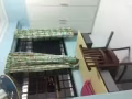 淡滨尼大间普通房出租BLK496 只限一名女生