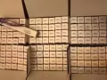 Gemsho睫毛膏，生长睫毛的睫毛膏，新品上市批发零售