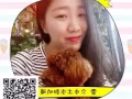 本土中介，公司在麥博申，收費1.5--1.8W  微信 006583065479