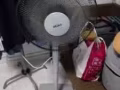 ！！！房子到期，所有家具家电“给钱就买”！！！