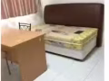 -  碧山22街高級普通房出租，安靜通風，採光良好。  房間時複式兩層，