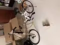 全新折叠自行车