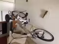 全新折叠自行车