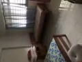 找安静干净女舍友一枚