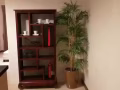 Burlington Square 全新精美大普通房出租！！！