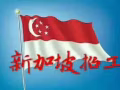 wp,幫廚，綜合1400新幣，微信17391989118