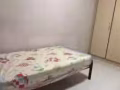 招租一位女的。馬來西亞人