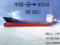 中国-新加坡海运|国际货运代理|易碎品运输|双清到门|免费包装仓储