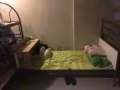 马西岭