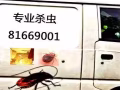 正规专业喷雾式杀臭虫，黑、白蚂蚁，蟑螂，木虱，蛀虫，杀绝后付款，另批杀虫药
