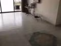 Balestier apartment no agent free,$2600