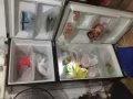 回國甩賣冰箱50塊自取，海軍部