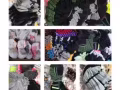 运动户外——经典运动?