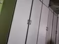義順主人房出租287
