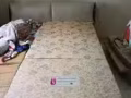 床墊各種東西便宜賣