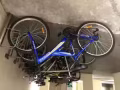 剛剛騎一個月的腳車，回國便宜賣