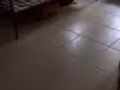 三巴旺男搭房靠近MRT近五分钟