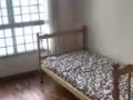 寻求合租伙伴！！合租！合租！