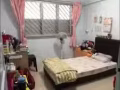 女生环境,马西岭大牌437，可报地址