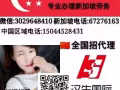 新加坡本土中介，不成功不收费，更多工作汇总咨询微信3029648410