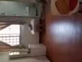 工作原因整套带租客转让 四美淡滨尼精装修高层租屋 接手可以盈利