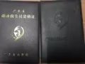 初級游泳培訓