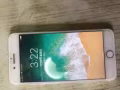 出一个iPhone7plus金色32g出售新加坡本地机器只卖450.想要的朋友信