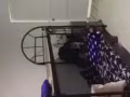 淡滨尼22街 招女搭房 （主人房）