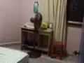 《普通房出租》
