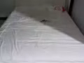漂亮的双人床